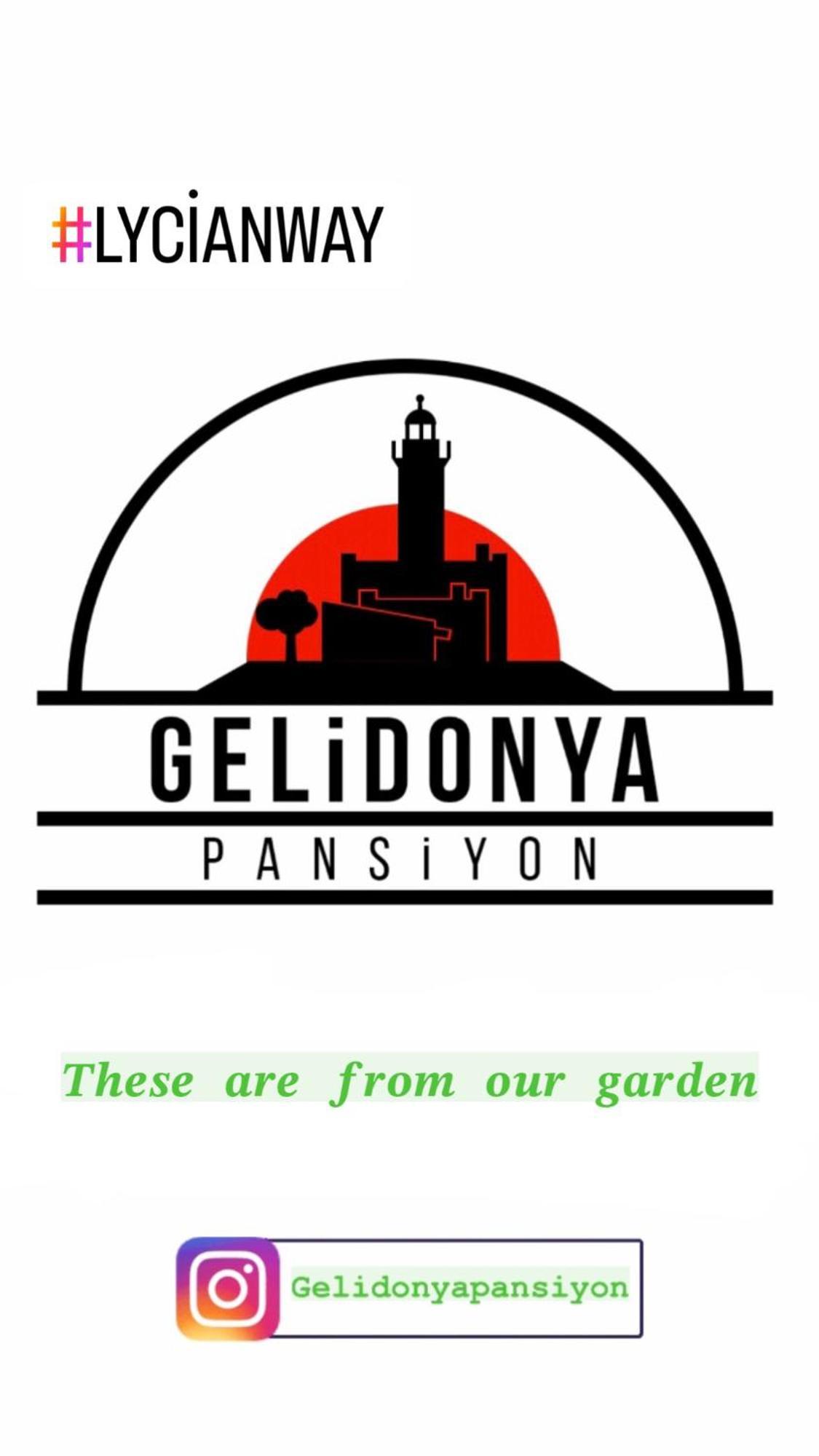 Gelidonya Pansiyon Kumluca ภายนอก รูปภาพ
